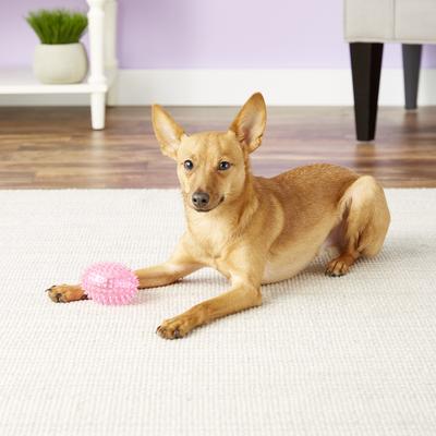 Show full view: Gnawsome Squeaker Football Dog Toy, Color Varies, Small slide 6 of 10