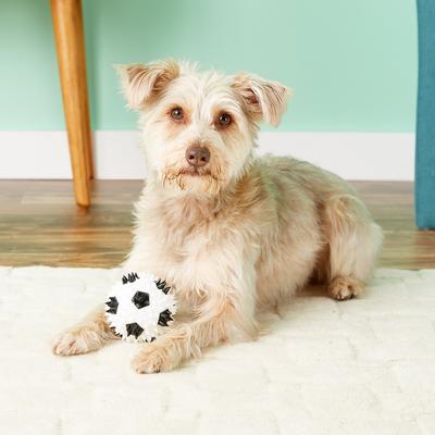 Show full view: Gnawsome Squeaker Soccer Ball Dog Toy, Medium slide 3 of 9