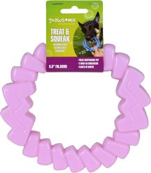 Gnawsome Treat & Squeak Dog Treat Dispenser Toy, Lavender