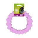 Gnawsome Treat & Squeak Dog Treat Dispenser Toy, Lavender