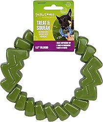 Gnawsome Treat & Squeak Dog Treat Dispenser Toy, Olive