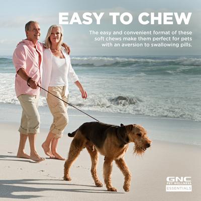 Show full view: GNC Pets ESSENTIALS Multivitamin Soft Chews Dog Supplement, 60 count slide 7 of 10