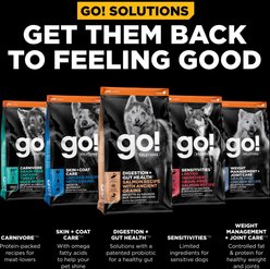 Go! Solutions Benefit Chews Digestion + Gut Health Benefit Salmon Recipe Soft & Chewy Dog Treats, 6-oz bag slide 2 of 9