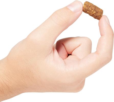 Show full view: Go! Solutions Benefit Chews Digestion + Gut Health Benefit Salmon Recipe Soft & Chewy Dog Treats, 6-oz bag slide 6 of 12