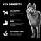 Show in main carousel: Go! Solutions Benefit Chews Digestion + Gut Health Benefit Salmon Recipe Soft & Chewy Dog Treats, 6-oz bag slide 5 of 12