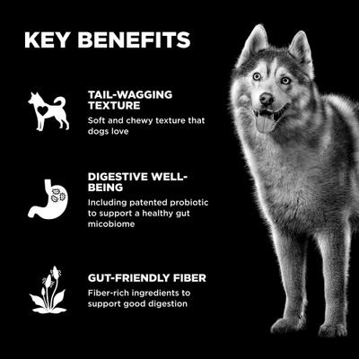 Show full view: Go! Solutions Benefit Chews Digestion + Gut Health Benefit Salmon Recipe Soft & Chewy Dog Treats, 6-oz bag slide 5 of 12
