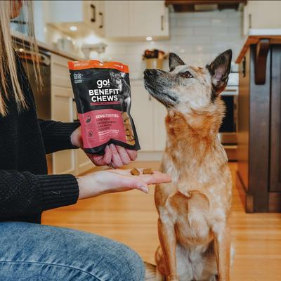 Show full view: Go! Solutions Benefit Chews Sensitivities Benefit Limited Ingredient Salmon Recipe Soft & Chewy Dog Treats, 6-oz bag slide 7 of 11