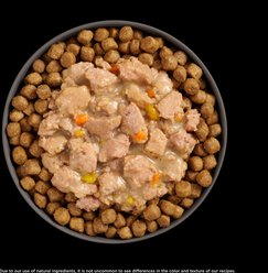 Go! Solutions Booster Brain Health Minced Chicken & Salmon with Gravy Wet Cat Food, 2.5-oz pouch, 12 count slide 2 of 8