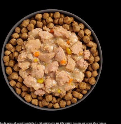 Show full view: Go! Solutions Booster Brain Health Minced Chicken & Salmon with Gravy Wet Cat Food, 2.5-oz pouch, 12 count slide 6 of 10