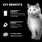 Show in main carousel: Go! Solutions Booster Brain Health Minced Chicken & Salmon with Gravy Wet Cat Food, 2.5-oz pouch, 12 count slide 5 of 10