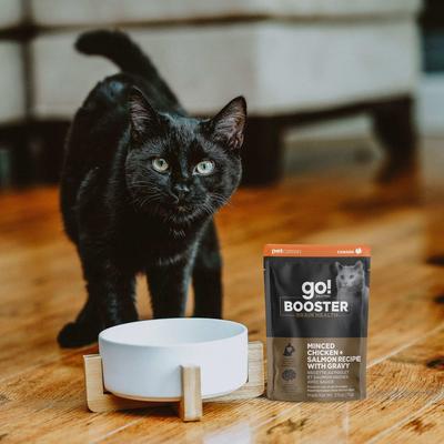 Show full view: Go! Solutions Booster Brain Health Minced Chicken & Salmon with Gravy Wet Cat Food, 2.5-oz pouch, 12 count slide 8 of 10