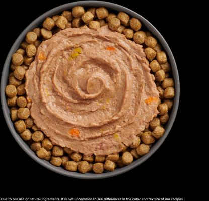 Show full view: Go! Solutions Booster Brain Health Tuna & Salmon Pate Wet Cat Food, 2.5-oz pouch, 12 count slide 6 of 10