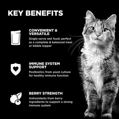Show full view: Go! Solutions Booster Immune Health Minced Chicken & Salmon with Gravy Wet Cat Food, 2.5-oz pouch, box of 12 slide 5 of 10