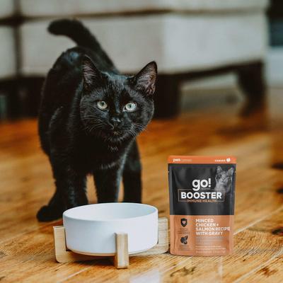 Show full view: Go! Solutions Booster Immune Health Minced Chicken & Salmon with Gravy Wet Cat Food, 2.5-oz pouch, box of 12 slide 8 of 10