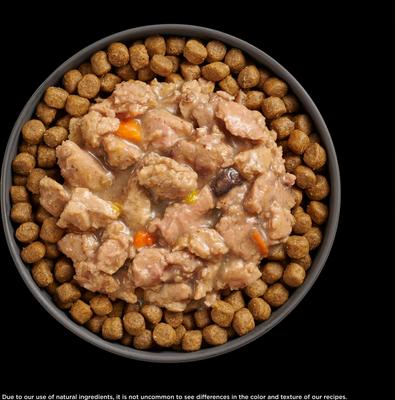 Show full view: Go! Solutions Booster Immune Health Minced Chicken & Salmon with Gravy Wet Cat Food, 2.5-oz pouch, box of 12 slide 6 of 10