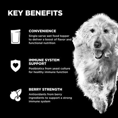 Show full view: Go! Solutions Booster Immune Health Minced Chicken with Gravy Wet Dog Food, 2.8-oz pouch, 12 count slide 5 of 10