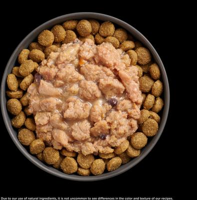 Show full view: Go! Solutions Booster Immune Health Minced Chicken with Gravy Wet Dog Food, 2.8-oz pouch, 12 count slide 6 of 10