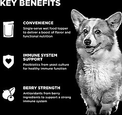 Go! Solutions Booster Immune Health Shredded Chicken & Salmon in Broth Wet Dog Food, 2.8-oz pouch, 12 count slide 2 of 8