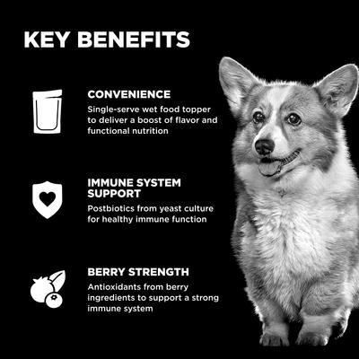 Show full view: Go! Solutions Booster Immune Health Shredded Chicken & Salmon in Broth Wet Dog Food, 2.8-oz pouch, 12 count slide 5 of 10
