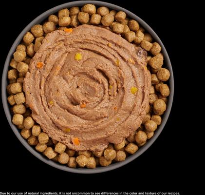 Show full view: Go! Solutions Booster Immune Health Tuna Pate Wet Cat Food, 2.5-oz pouch, 12 count slide 6 of 10