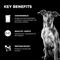 Show in main carousel: Go! Solutions Booster Joint Care Chicken, Salmon & Duck Pate Wet Dog Food, 2.8-oz pouch, 12 count slide 5 of 10