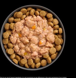 Go! Solutions Booster Tranquility Minced Chicken with Gravy Wet Dog Food, 2.8-oz pouch, 12 count slide 2 of 8