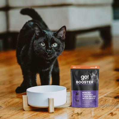 Show full view: Go! Solutions Booster Weight Management Minced Chicken & Tuna with Gravy Wet Cat Food, 2.5-oz pouch, 12 count slide 8 of 10