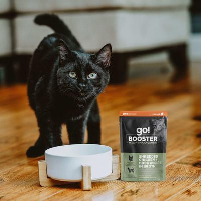 Show full view: Go! Solutions Booster Weight Management Shredded Chicken & Duck in Broth Wet Cat Food, 2.5-oz pouch, 12 count slide 8 of 10