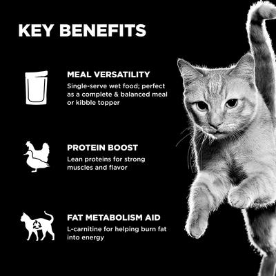 Show full view: Go! Solutions Booster Weight Management Shredded Chicken & Duck in Broth Wet Cat Food, 2.5-oz pouch, 12 count slide 5 of 10