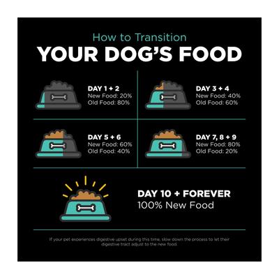 Show full view: Go! Solutions Carnivore Grain-Free Chicken, Turkey + Duck Adult Recipe Dry Dog Food, 12-lb bag slide 10 of 12