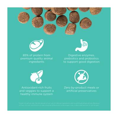 Show full view: Go! Solutions Carnivore Grain-Free Chicken, Turkey + Duck Adult Recipe Dry Dog Food, 3.5-lb bag slide 4 of 12