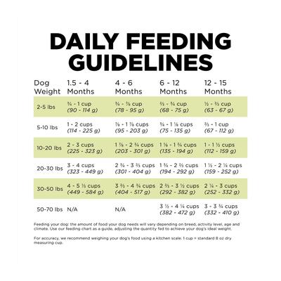 Show full view: Go! Solutions Carnivore Grain-Free Chicken, Turkey + Duck Puppy Recipe Dry Dog Food, 22-lb bag slide 8 of 11