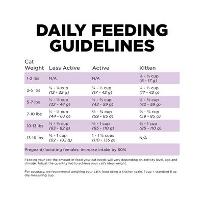 Show full view: Go! Solutions Carnivore Grain-Free Chicken, Turkey + Duck Recipe Dry Cat Food, 3-lb bag slide 8 of 11