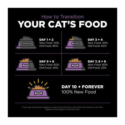 Show full view: Go! Solutions Carnivore Grain-Free Chicken, Turkey + Duck Recipe Dry Cat Food, 8-lb bag slide 9 of 11