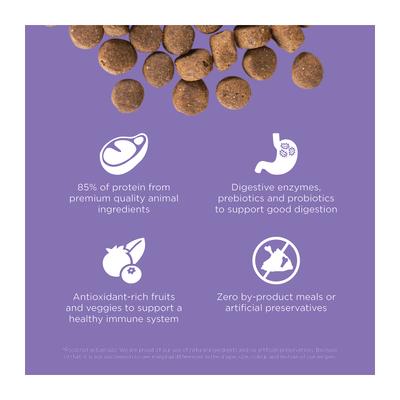 Show full view: Go! Solutions Carnivore Grain-Free Chicken, Turkey + Duck Senior Recipe Dry Dog Food, 12-lb bag slide 4 of 12