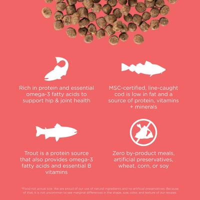 Show full view: Go! Solutions Carnivore Grain-Free Salmon + Cod Recipe Dry Cat Food, 16-lb bag slide 4 of 10