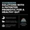 Show in main carousel: Go! Solutions Digestion + Gut Health Adult Chicken Recipe with Ancient Grains Dry Dog Food, 3.5-lb bag slide 7 of 12