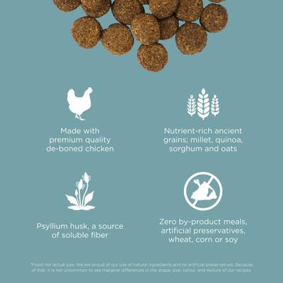 Show full view: Go! Solutions Digestion + Gut Health Adult Chicken Recipe with Ancient Grains Dry Dog Food, 3.5-lb bag slide 6 of 12