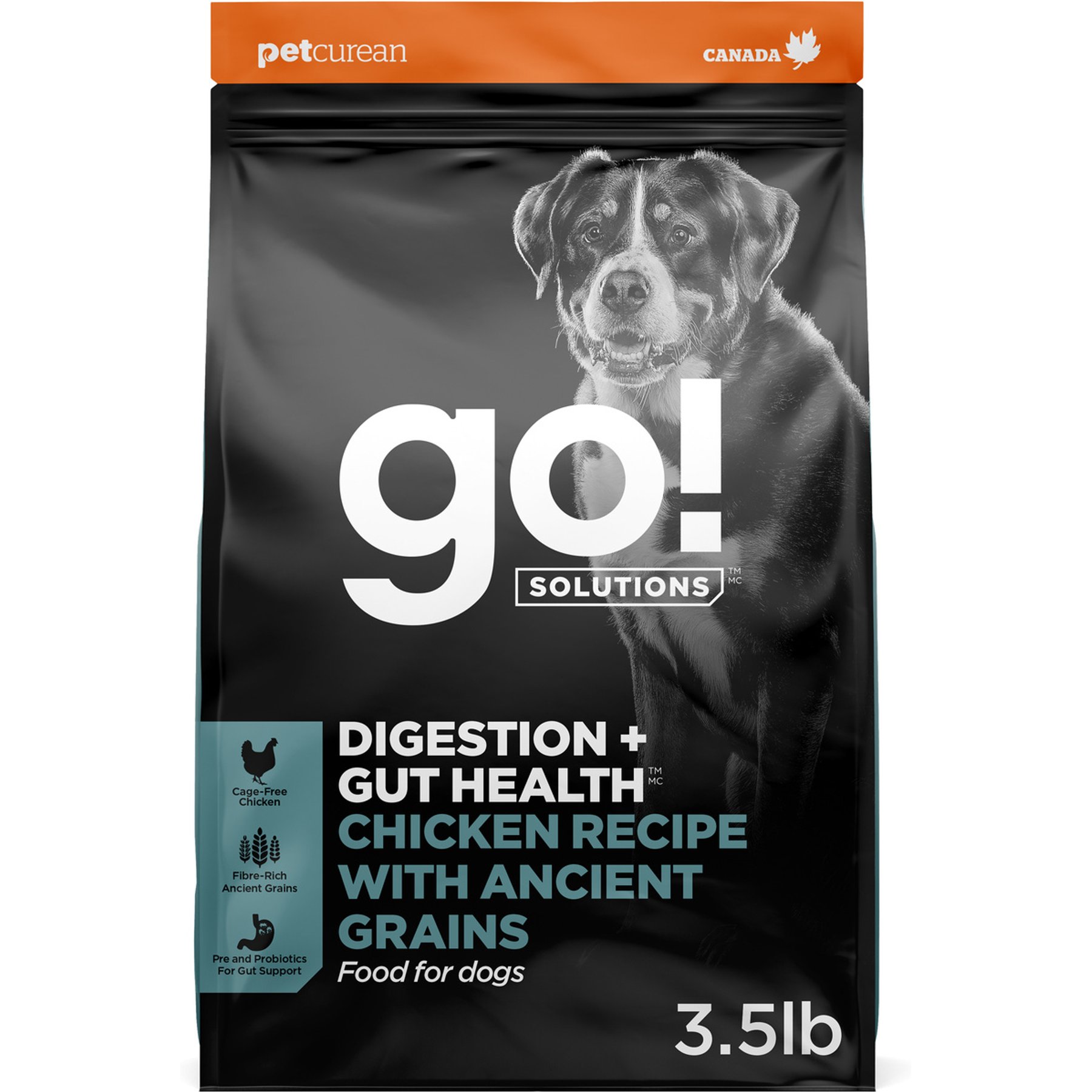 Go! Solutions Digestion + Gut Health Adult Chicken Recipe with Ancient Grains Dry Dog Food, 3.5-lb bag
