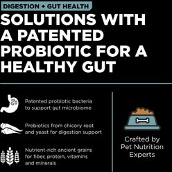 Go! Solutions Digestion + Gut Health Chicken Recipe with Ancient Grains Dry Cat Food, 3-lb bag slide 2 of 9