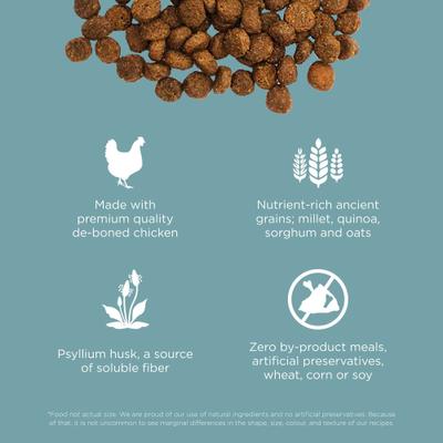 Show full view: Go! Solutions Digestion + Gut Health Chicken Recipe with Ancient Grains Dry Cat Food, 3-lb bag slide 6 of 11