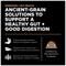 Show in main carousel: Go! Solutions Digestion + Gut Health Salmon Recipe with Ancient Grains for Dogs, 12-lb bag slide 3 of 12