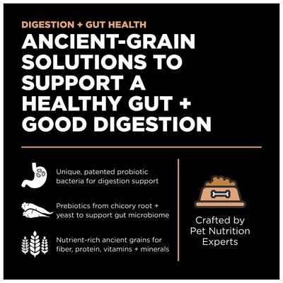 Show full view: Go! Solutions Digestion + Gut Health Salmon Recipe with Ancient Grains for Dogs, 12-lb bag slide 3 of 12