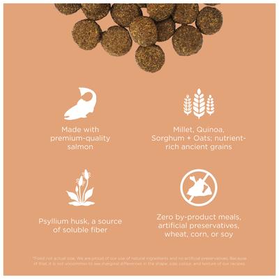 Show full view: Go! Solutions Digestion + Gut Health Salmon Recipe with Ancient Grains for Dogs, 12-lb bag slide 4 of 12