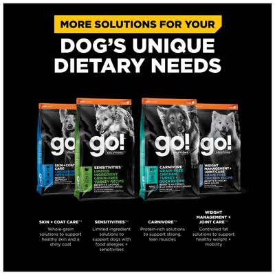 Show full view: Go! Solutions Digestion + Gut Health Salmon Recipe with Ancient Grains for Dogs, 12-lb bag slide 7 of 12