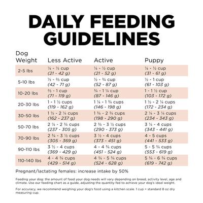 Show full view: Go! Solutions Digestion + Gut Health Salmon Recipe with Ancient Grains for Dogs, 12-lb bag slide 8 of 12