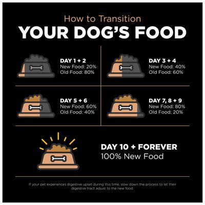 Show full view: Go! Solutions Digestion + Gut Health Salmon Recipe with Ancient Grains for Dogs, 12-lb bag slide 9 of 12