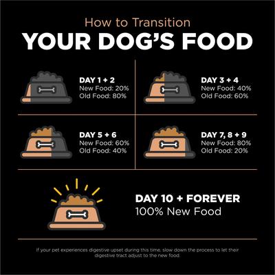 Show full view: Go! Solutions Digestion + Gut Health Salmon Recipe with Ancient Grains for Dogs, 3.5-lb bag slide 8 of 11