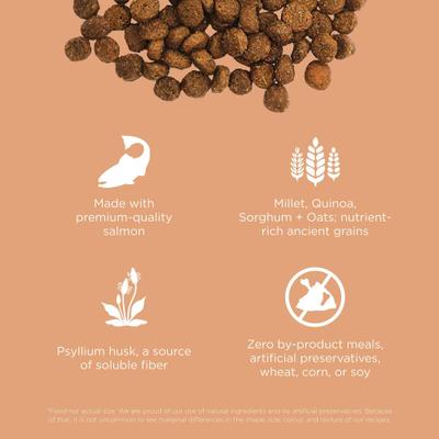 Show full view: Go! Solutions Digestive + Gut Health Salmon Recipe with Ancient Grains for Cats, 16-lb bag slide 4 of 10