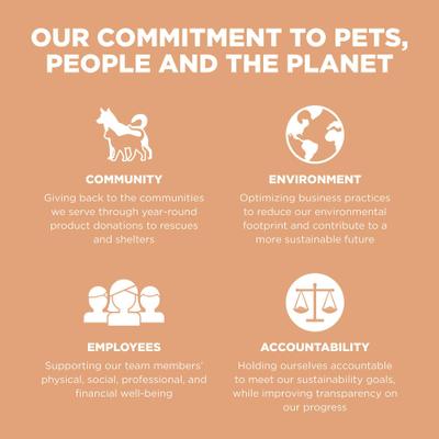 Show full view: Go! Solutions Digestive + Gut Health Salmon Recipe with Ancient Grains for Cats, 16-lb bag slide 9 of 10